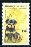 [Dogs, type ASJ]