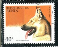 [Dogs, loại QA]