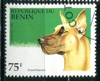 [Dogs, loại QC]