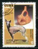 [Dogs & Art, tegund IEV]