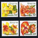 [Hibiscus Flowers, 類型 QE]