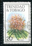 [Flowers - Without Imprint, tegund MK]