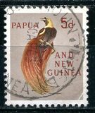 [Local Motives and Queen Elizabeth II, type W]