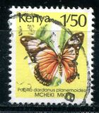 [Butterflies, tipas SO]