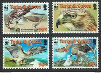[Worldwide Nature Protection - Red-tailed Hawk, Tipi BKT]