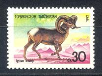 [Asian Fauna, type D]