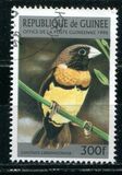 [Birds, type ASA]