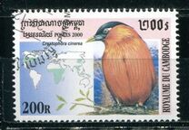 [Birds, प्रकार BWF]
