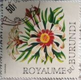 [Flowers, type FA]