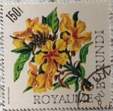 [Flowers, type FC]