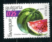[Watermelons & Pumpkins, 類型 XKK]