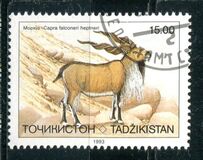 [Endangered Mammals, type V]