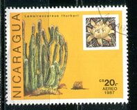 [Airmail - Cacti, tip BXH]