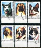 [Not Issued - Dogs, Scrivi QQA]