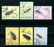 [Insects, type CZI]