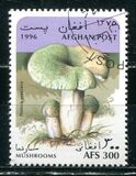 [Mushrooms, type ALR]