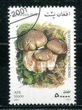 [Mushrooms, 유형 AVK]