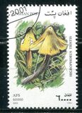 [Mushrooms, 유형 AVL]