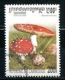 [Fungi, тип BTE]
