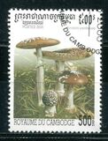 [Fungi, тип BTF]