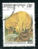[Fungi, тип BTG]