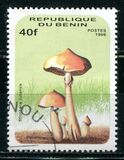 [Fungi, type UU]