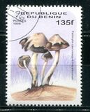 [Fungi, type UY]