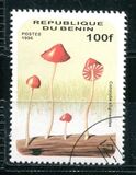 [Fungi, type UX]
