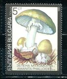 [Poisonous Mushrooms, Typ EKM]