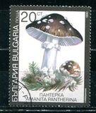 [Poisonous Mushrooms, Typ EKO]