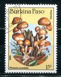 [Fungi, type CE]