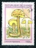 [Fungi, type ARD]