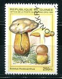 [Fungi, type ARE]