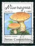 [Airmail - Mushrooms, type CFA]