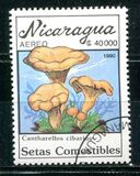[Airmail - Mushrooms, type CFE]