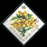 [Flowers, type FC]