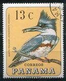 [Pájaros., tipo UM]