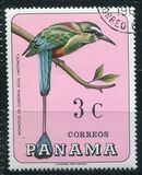 [Pájaros., tipo UJ]