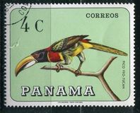 [Pájaros., tipo UK]