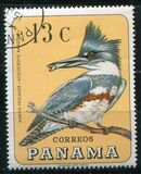 [Pájaros., tipo UM]