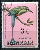 [Pájaros., tipo UJ]