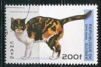 [Cats, type ASM]
