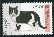 [Cats, type ASN]