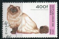 [Cats, type ASP]