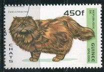 [Cats, type ASQ]