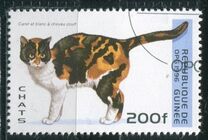 [Cats, type ASM]