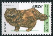 [Cats, type ASQ]
