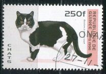 [Cats, type ASN]