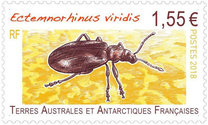[Insects - Ectemnorhinus viridis, type AIW]