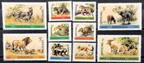 [Animals, typ EW]